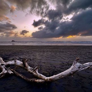 Drift wood coastal landscape photography print by Mark Hulskamp