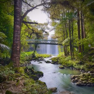 Forest crossing landscape photography print by Mark Hulskamp