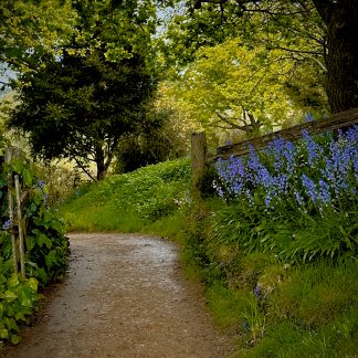 Garden path landscape photography print by Mark Hulskamp
