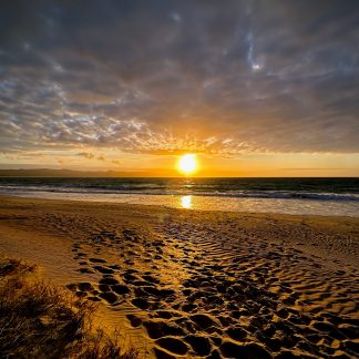 Golden shores coastal landscape photography print by Mark Hulskamp