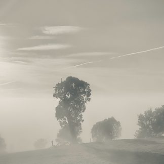 Morning silence black and white photography print by Mark Hulskamp